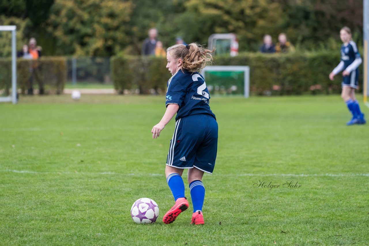 Bild 348 - B-Juniorinnen SV Henstedt Ulzburg - Hamburger SV : Ergebnis: 2:3